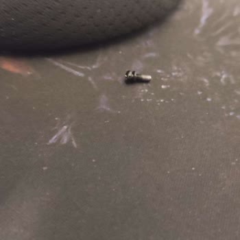 SteelSeries Arctis Nova 1 Menteşe Yeri Kırıldı