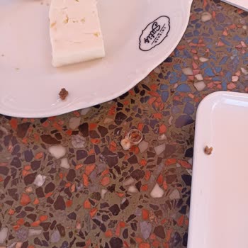 Kahvaltıda Yemeğin İçinden Çıkan Takma Diş Çengelköy Sütiş