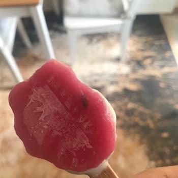 Algida Buzzy Çilek Dondurmasından Sinek Ölüsü Çıktı