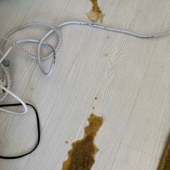 Farmina Nd Kedi Maması