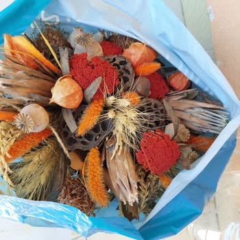 Silva Network Silva Mop Gıcırdıyor Ve Gevşedi