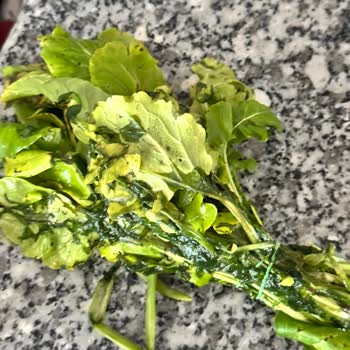 Vestel Buzdolabı NFK54002 Bence Ayıplı Bir Üretim