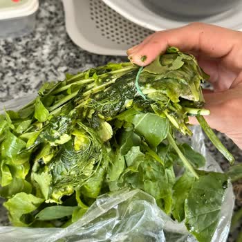 Vestel Buzdolabı NFK54002 Bence Ayıplı Bir Üretim