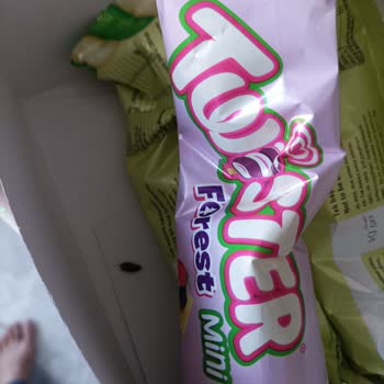 Algida Dondurmadan Böcek Çıkması