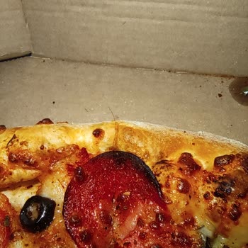 Domino's Pizza Pizzadan Kıl Çıktı