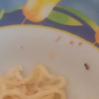 İndomie Noodle İçinden Çıkanlar
