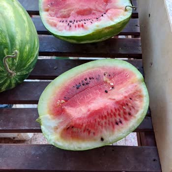 Özçam Marketler Hastalıklı Meyve Sattı