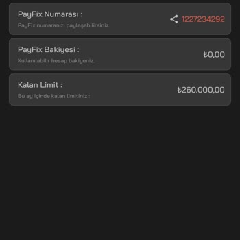 Payfix Hesabımı Aldılar Ve Yardımcı Olan Kimse Yok