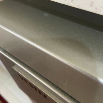 Vestel Bulaşık Makinesi Boya Atıyor