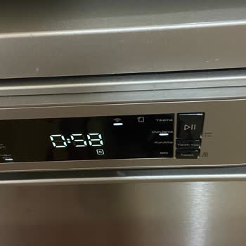 Vestel Bulaşık Makinesi Boya Atıyor