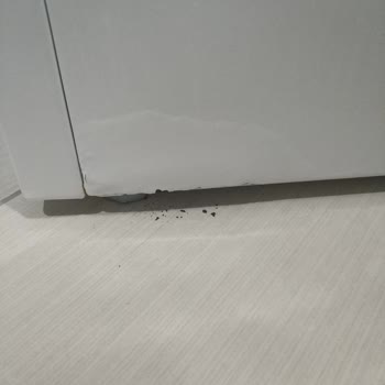 Bosch (WGA142X0TR/10) Washing Machine Fails to Live Up to Warranty Promises