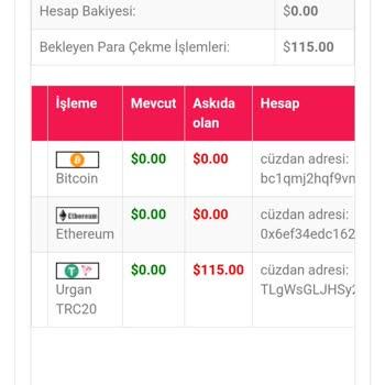 Borsahisse-global.com Para Çekimini Yapamama