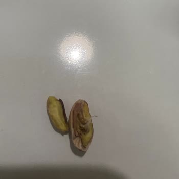 Migros Hemen'den Gelen Kurtlu Kuruyemiş