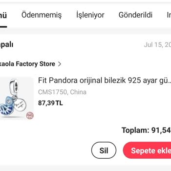 Aliexpress'ten Sipariş Edilen Ürünün Gelmemesi