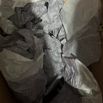 Alisoy Evden Eve Nakliyat (İstanbul) Tarafından Yanıltıldım