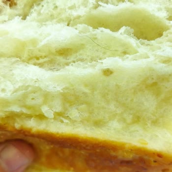 Gimsa Aldığım Pastane Ürününden Kıl Çıktı