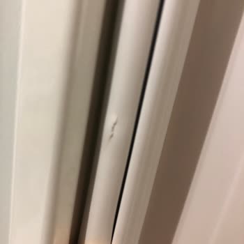 Bosch Mağdur Ediyor Acil Destek