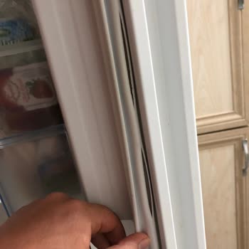 Bosch Mağdur Ediyor Acil Destek