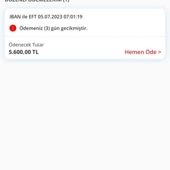 Denizbank Gecikmiş Ödemeler Başlık