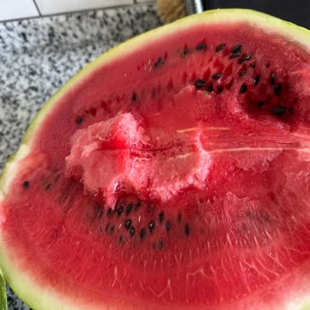 Şok Marketler Bozuk Karpuz İadesi Talebi