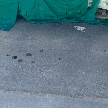 Citroen Çağdaş Müşteri İlişkileri!