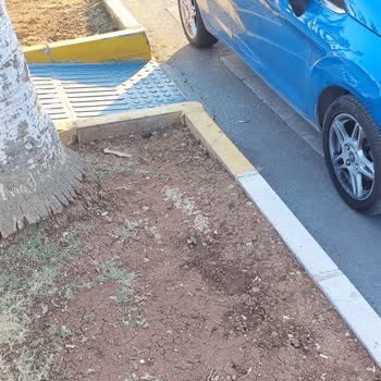 Emniyet Genel Müdürlüğü Engelli Yolu İhmali