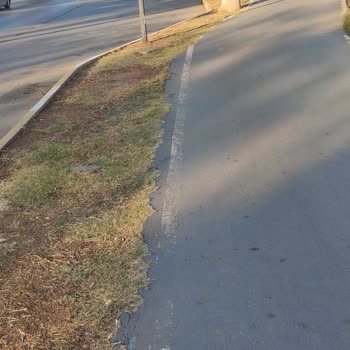 Emniyet Genel Müdürlüğü Engelli Yolu İhmali