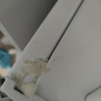 Beko 670531 Eb Model Buzdolabı Darbe Sorunu