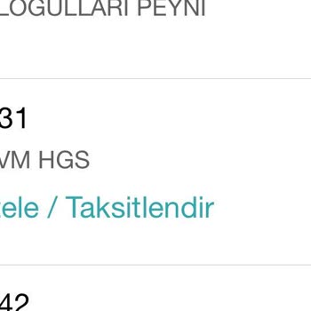 HGS Yükleme Problemi