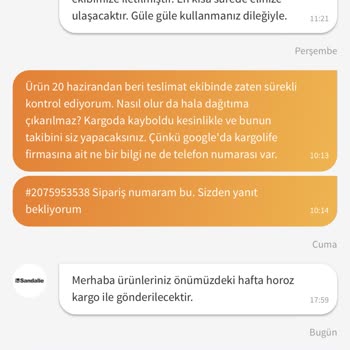 Sandalie Firması Ürünümü 1 Ay Göndermeyip Para İadesi Yaptı