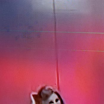 Disappointing Display Quality and Defects of Beko B50 B880 LED TV