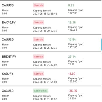 New Invest Markets Nev İnvest Markets