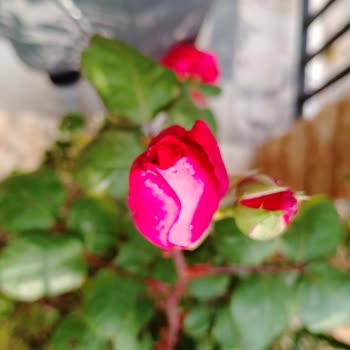 BİM'de Satılan Casper Via F30 Hayal Kırıklığı