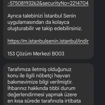 İBB - İstanbul Büyükşehir Belediyesi Yaralı Hasta Kedi