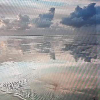 Samsung 27 Ls27c362eauxuf Essential Marka Monitörde Beyaz Renk Bozulması