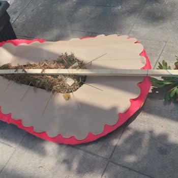 Taze Çiçek İletişim Sıfır, Bozuk Ürün Ve Görseldeki Ürünle Alakası Yok