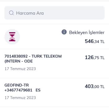 Geofind Abonelik İadesi İstemi