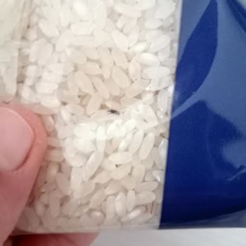 BİM Ürün Böcekli Çıktı