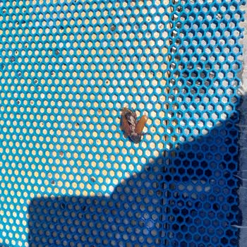 Asude Restaurant Havuzun Bakımsızlığı!