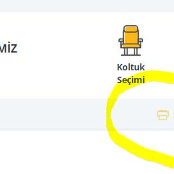 Pegasus Sitesinden Seyahat Belgesi Çıkartamıyorum.