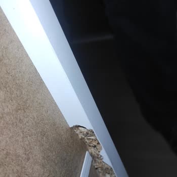 Vivense Almak Pişmanlık Arkadaşlar