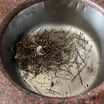 Silverline Müşterisini Dikkate Almıyor, Mağdur Olmamak İçin Okuyun!