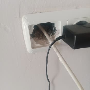 Etstur Hiçbir Şekilde İlgilenmedi!