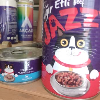 Jazzy Mama Hayvanlar Rahatsızlandı Mama Göründüğü Gibi Değildir