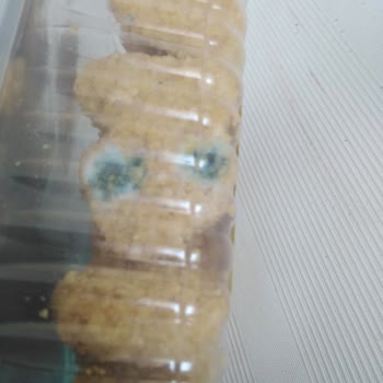 BİM Erpiliç Nugget Bozuk Çıktı