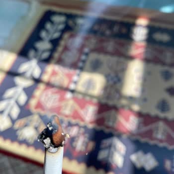 Philip Morris Sigaranın İçinden Odun Çıkıyor