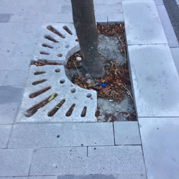 Beylikdüzü Belediyesi Kaldırım Ve Tretuvar Çalışmalarında Eksiklikler