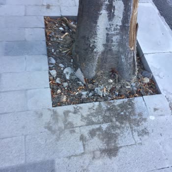 Beylikdüzü Belediyesi Kaldırım Ve Tretuvar Çalışmalarında Eksiklikler