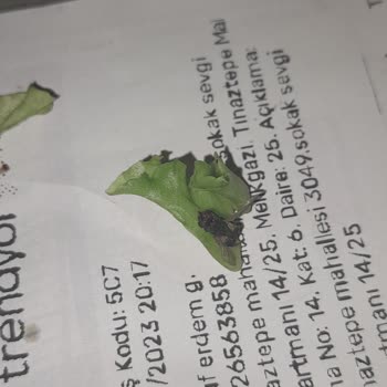 Komagene Çiğköfte Yıkanmamış Hijyensiz Ürün Kullanımı