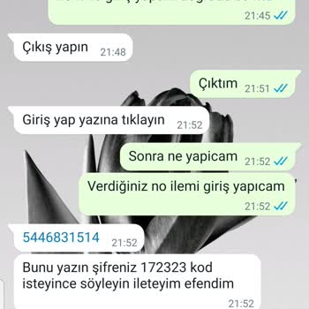 P*****a'ya Maillerim Ulaşmıyor Mu?